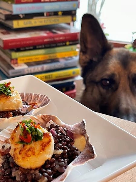 lentils plated with dog