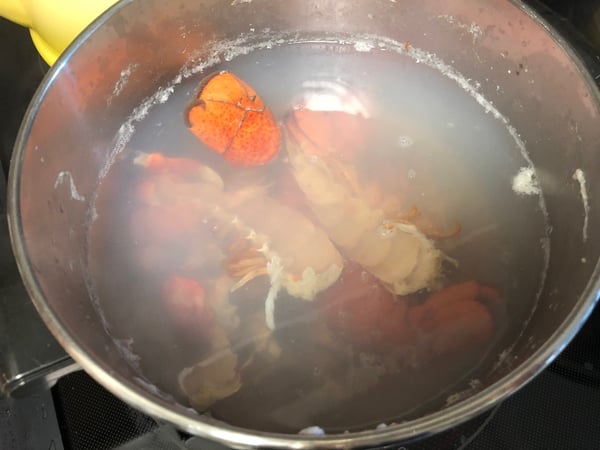 lobsters cooking