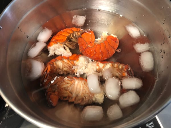 lobsters in ice