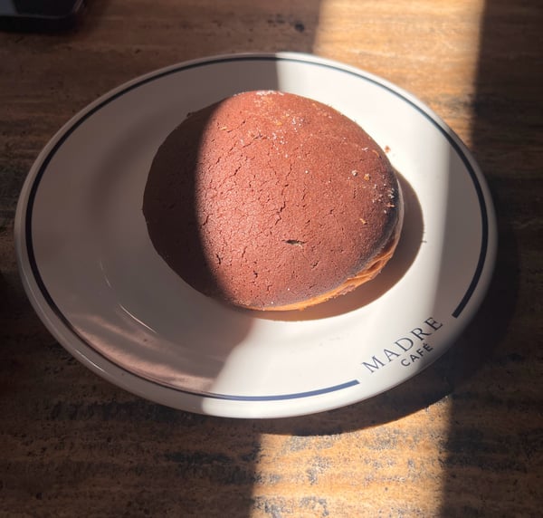 Madre chocolate concha