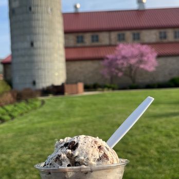 Matt ice cream road trip