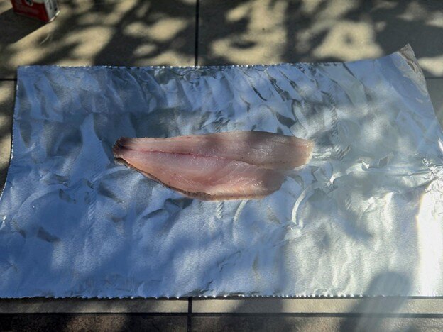 Fish on foil