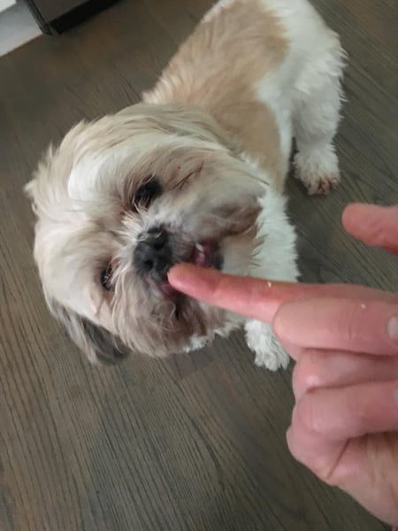 mica licking finger