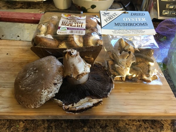 Mushrooms On My Mind: The Tale of a Fungi