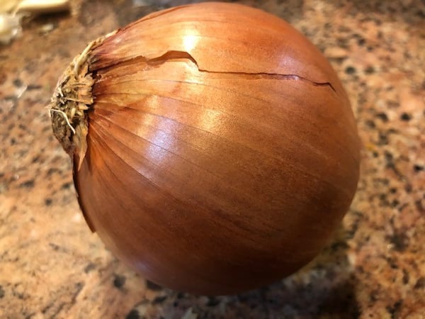 onion-2