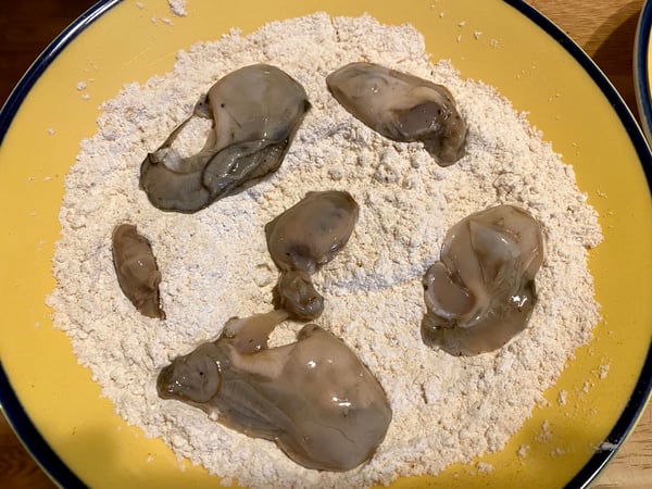oysters in flour