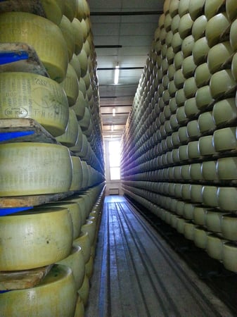 parmhallway-1 parmhallway-1