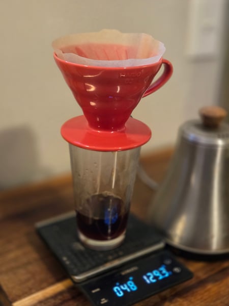 Percolation Brew