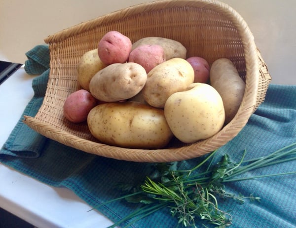 potato cover