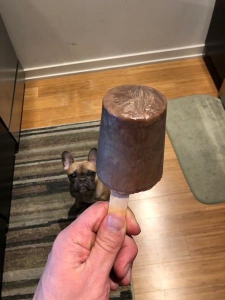 proteinpopsicles