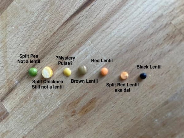 pulses with labels