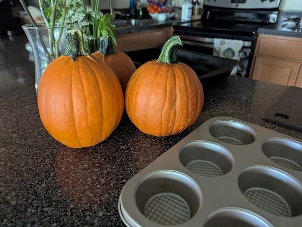 Pumpkins on counter