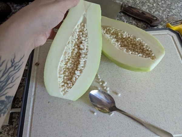 Removing seeds from papaya