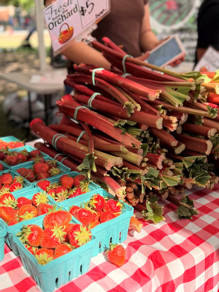 Rhubarb farmers market