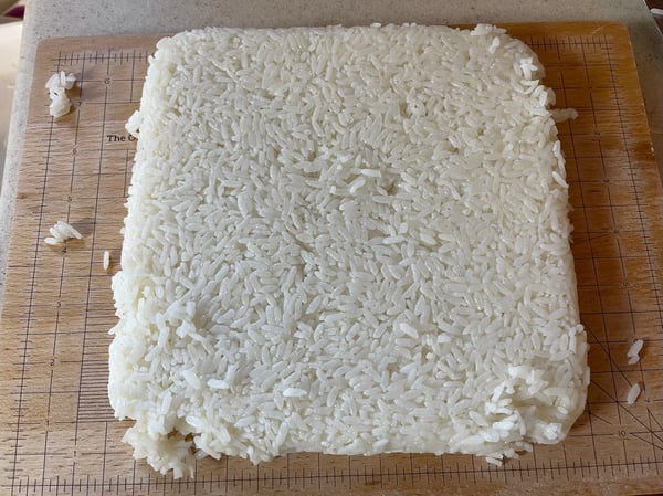 rice block-1