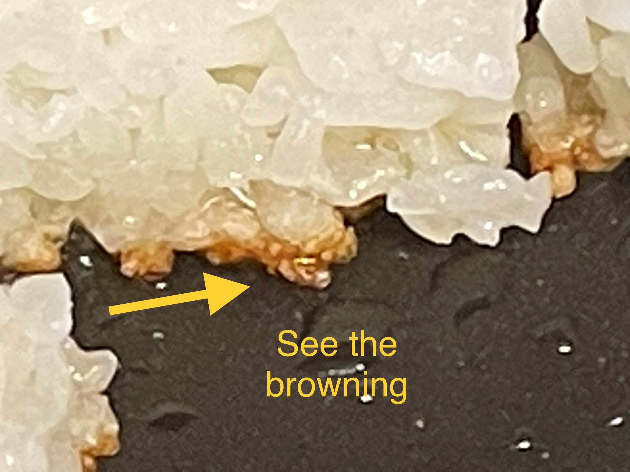 Crispy Rice Advice