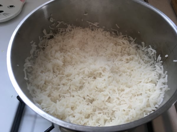 rice experiment