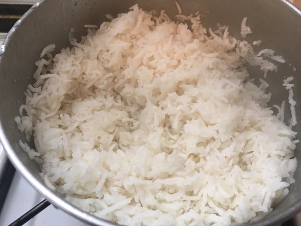 rice experiment