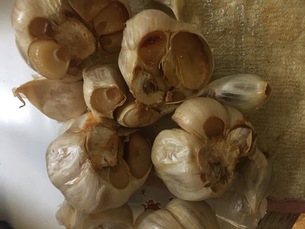 roasted garlic
