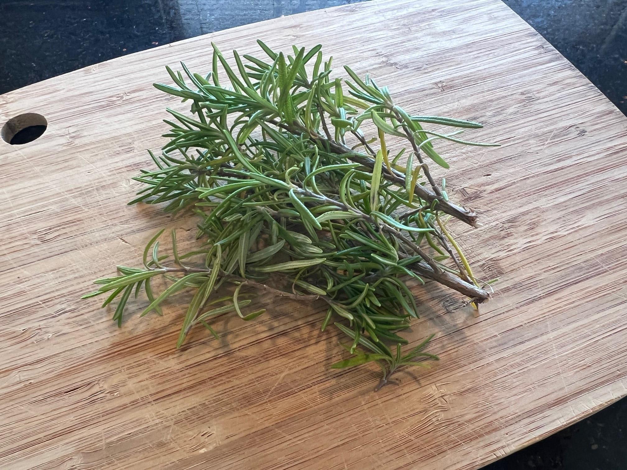 Rosemary