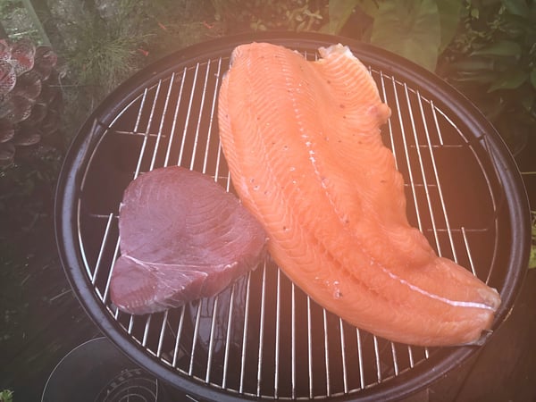 salmon tuna on smoker