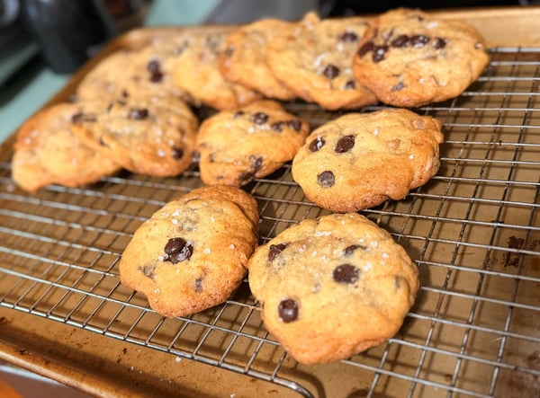 Salted cookies on rack
