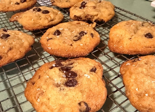 Salted cookies on rack