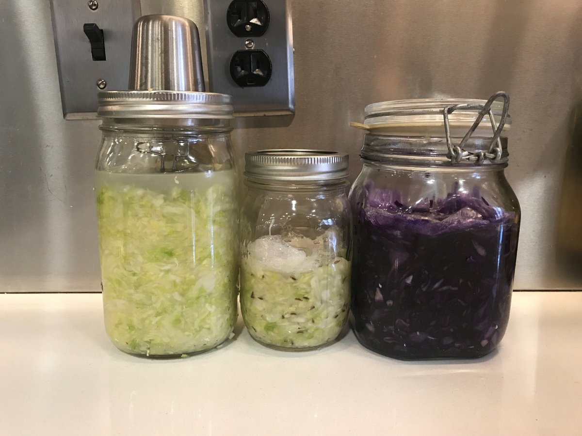 Homemade Sauerkraut in Just Two Weeks