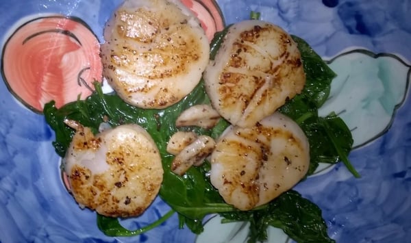 scallops