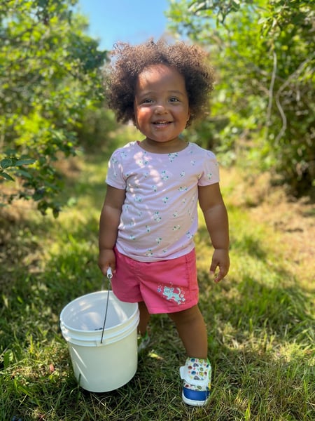 Scarlett picking blueberries