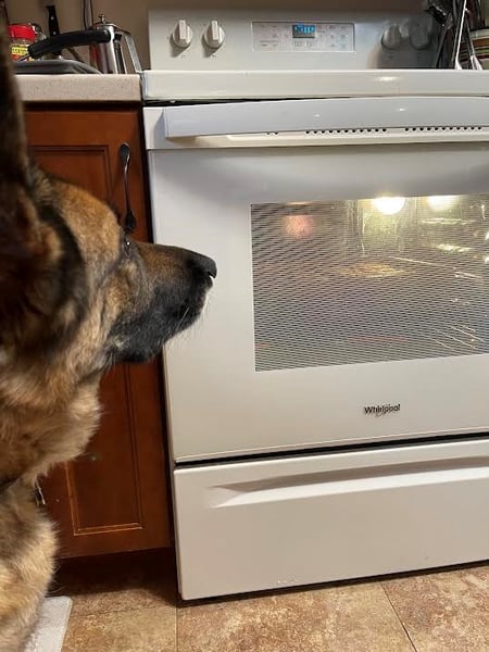 scout watching oven