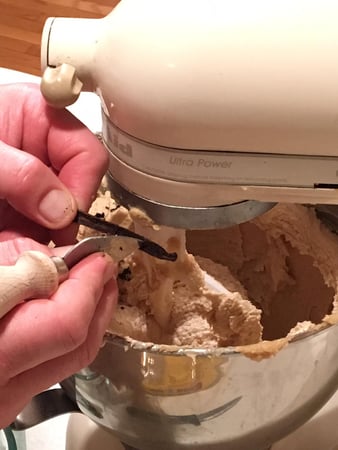 scraping vanilla bean