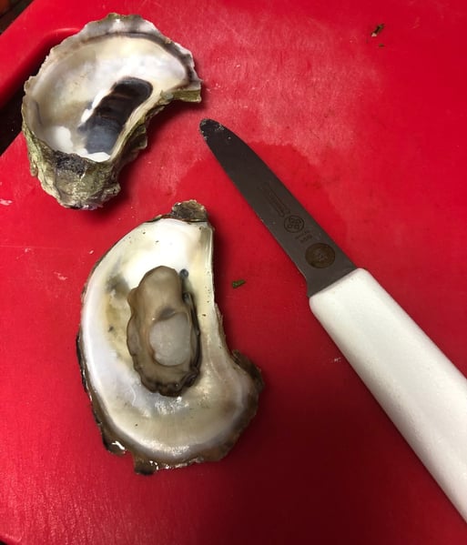 shucked oyster