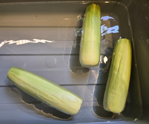 Soaking corn