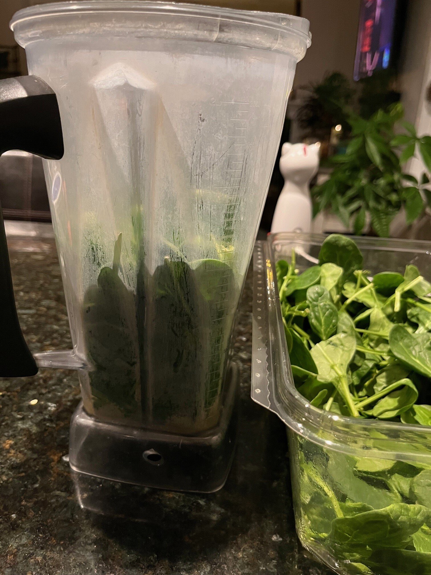Spinach in blender