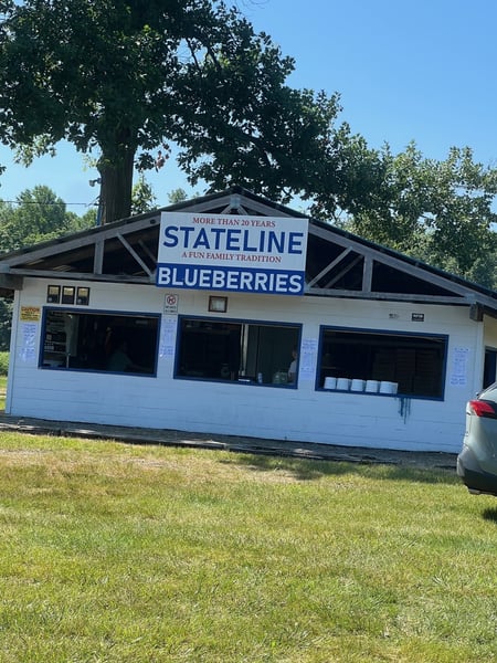 Stateline Blueberries