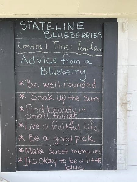 stateline blueberries