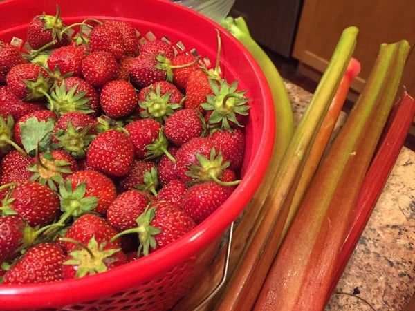 strawberries and rhubarb
