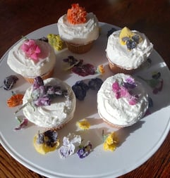 sugarflowercupcakes