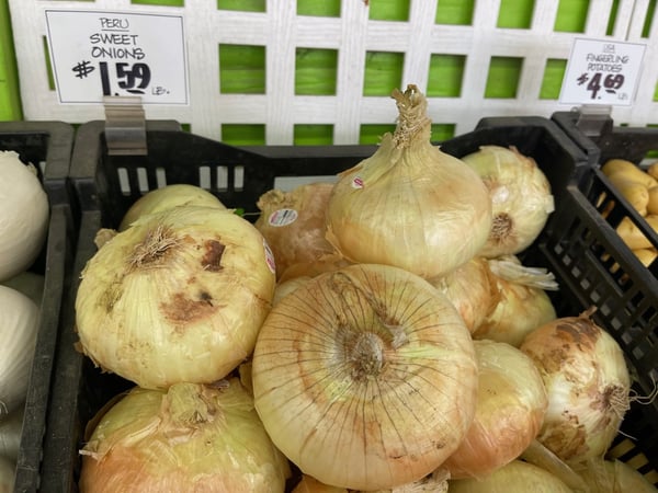 summer onions