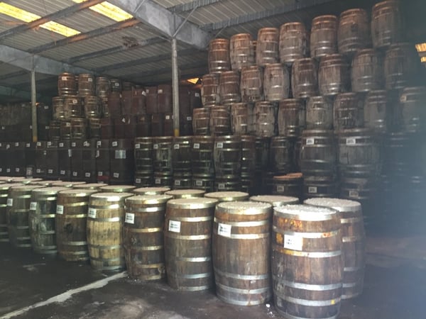 tabasco barrels