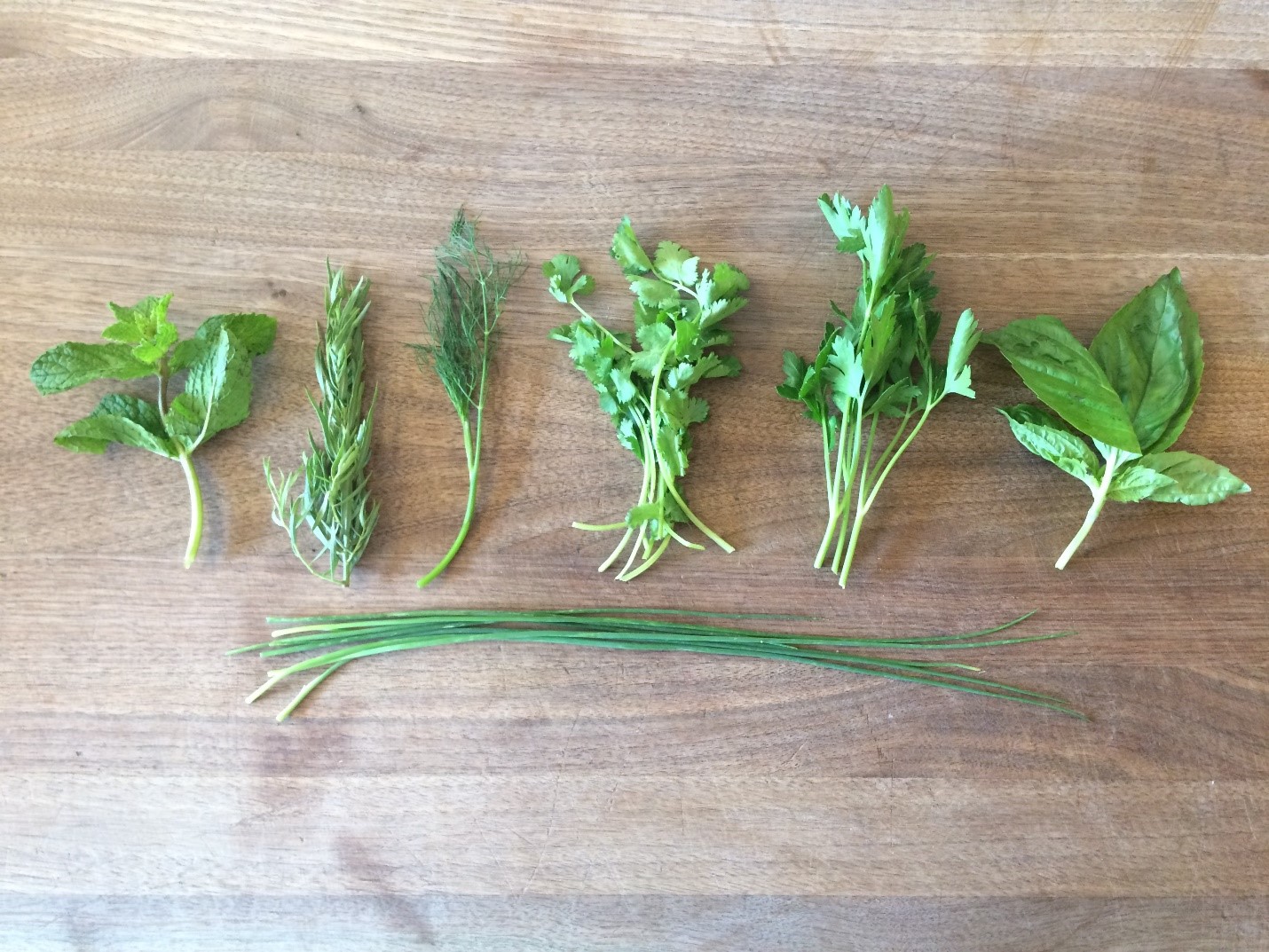 A Beginner's Guide to Fresh Herbs and Spices