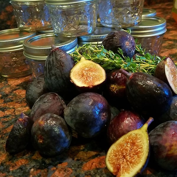 whole figs and jars
