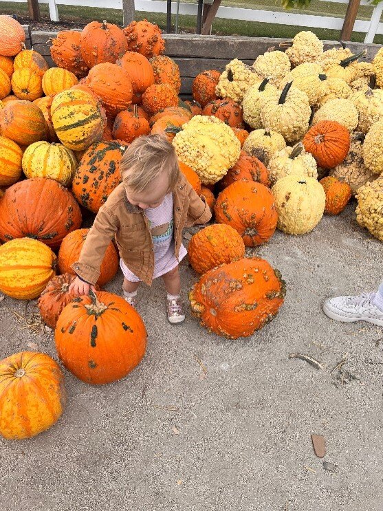 Willa at pumpkin patch