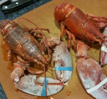 lobsterhomepage.jpg