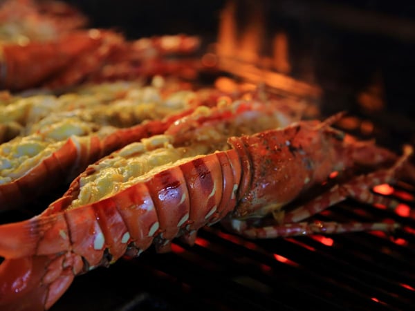 Grilled_Lobster