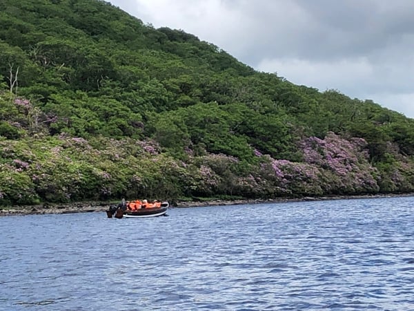Ireland Boat Ride