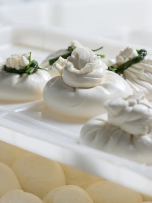 Puglia Burrata