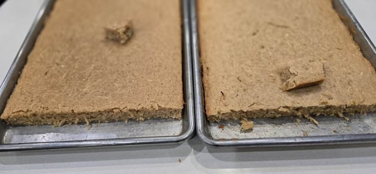 Parsnip cakes