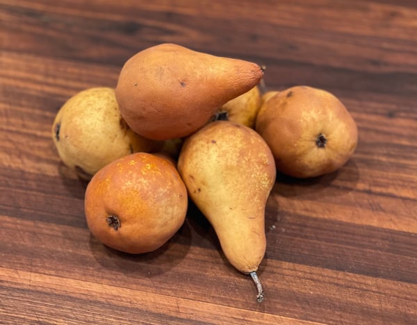 Bosc Pears (how to tell when they're ripe, and how to cook them) – The  Nourishing Hearthfire
